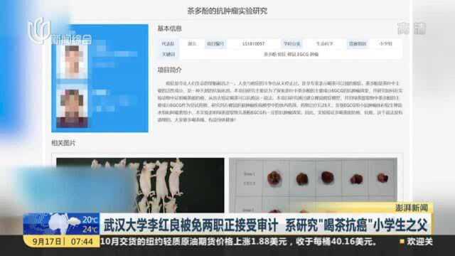 武汉大学李红良被免两职正接受审计 系研究“喝茶抗癌”小学生之父