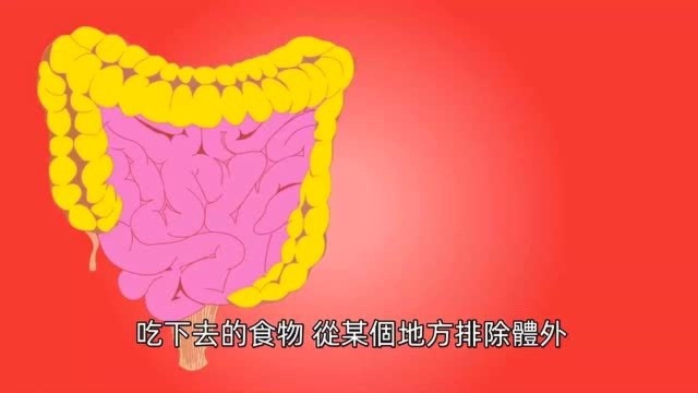 人类自身有多少孔洞?看完您绝对不知道竟然有这些洞!