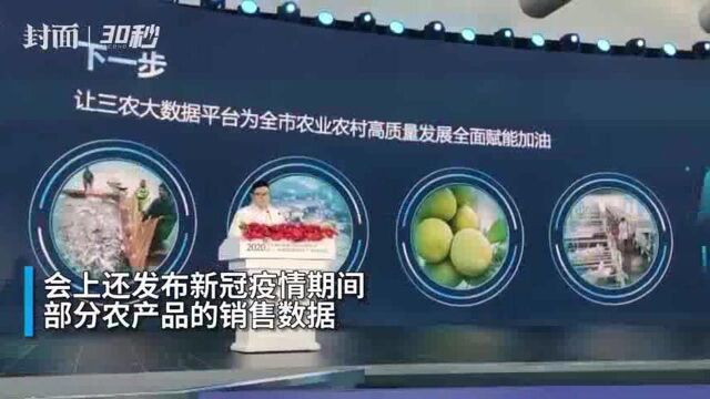 重庆三农大数据平台亮相智博会 来看疫情期间农产品销售得怎么样