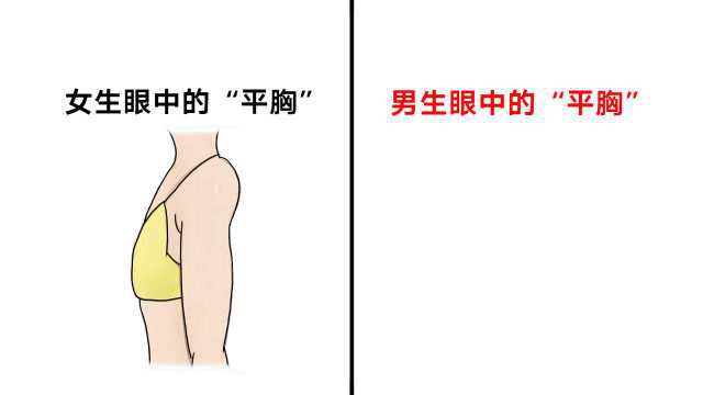 男生眼中的“女生平胸”,原来是这样的呀!哈哈哈