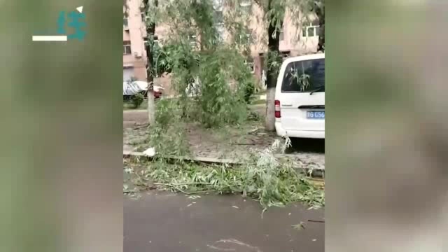 黑龙江鸡西遭遇十级狂风,掀翻屋顶冒出一串火花,路边大树连根拔起