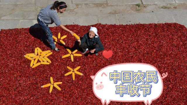 中国农民丰收节是国家专门为广大农民设立的节日