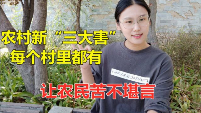 农村的新三害指哪三种?为何让农民苦不堪言,听听农民肺腑之言