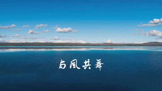 奥马尔钢琴曲《与风共舞》放飞灵魂、感知美好、赞颂生命!