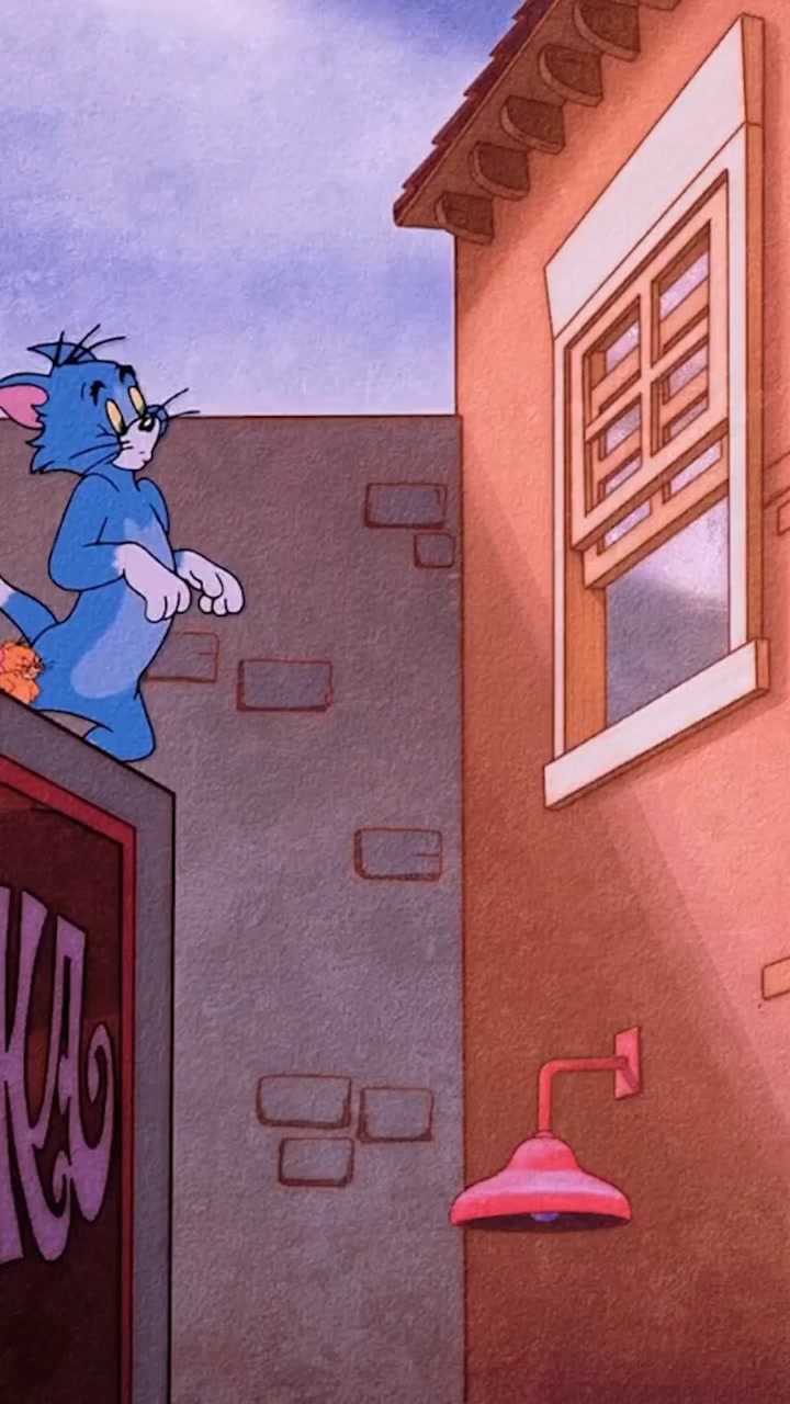 快来看汤姆的大长腿#猫和老鼠