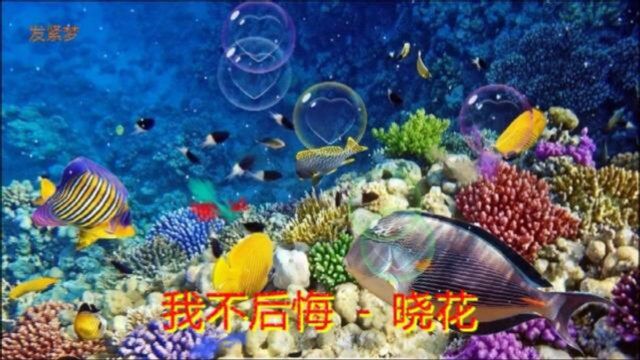 晓花《我不后悔》人生在世但求无悔