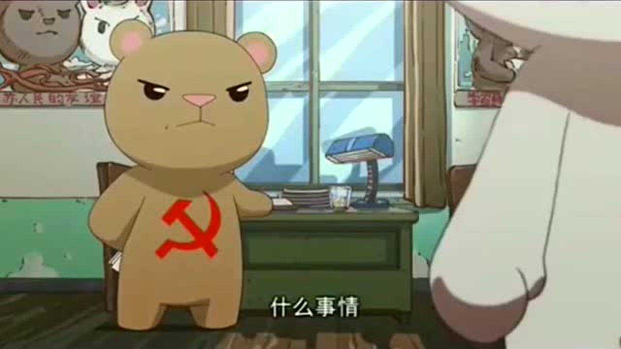 那年那兔那些事毛熊专家临走时帮兔子作弊你们是我最好的学生