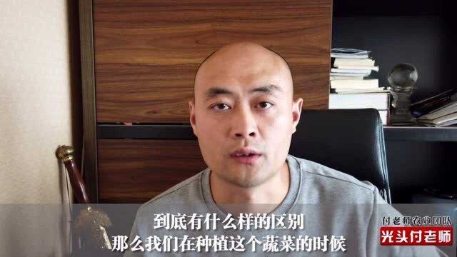 农民施钾肥,硝酸钾和硫酸钾哪个效果好?看完才知区别太大了