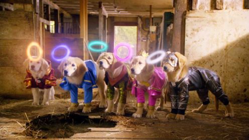 五只狗狗发现外星圆环，戴上后获得超能力，开始了惩恶扬善