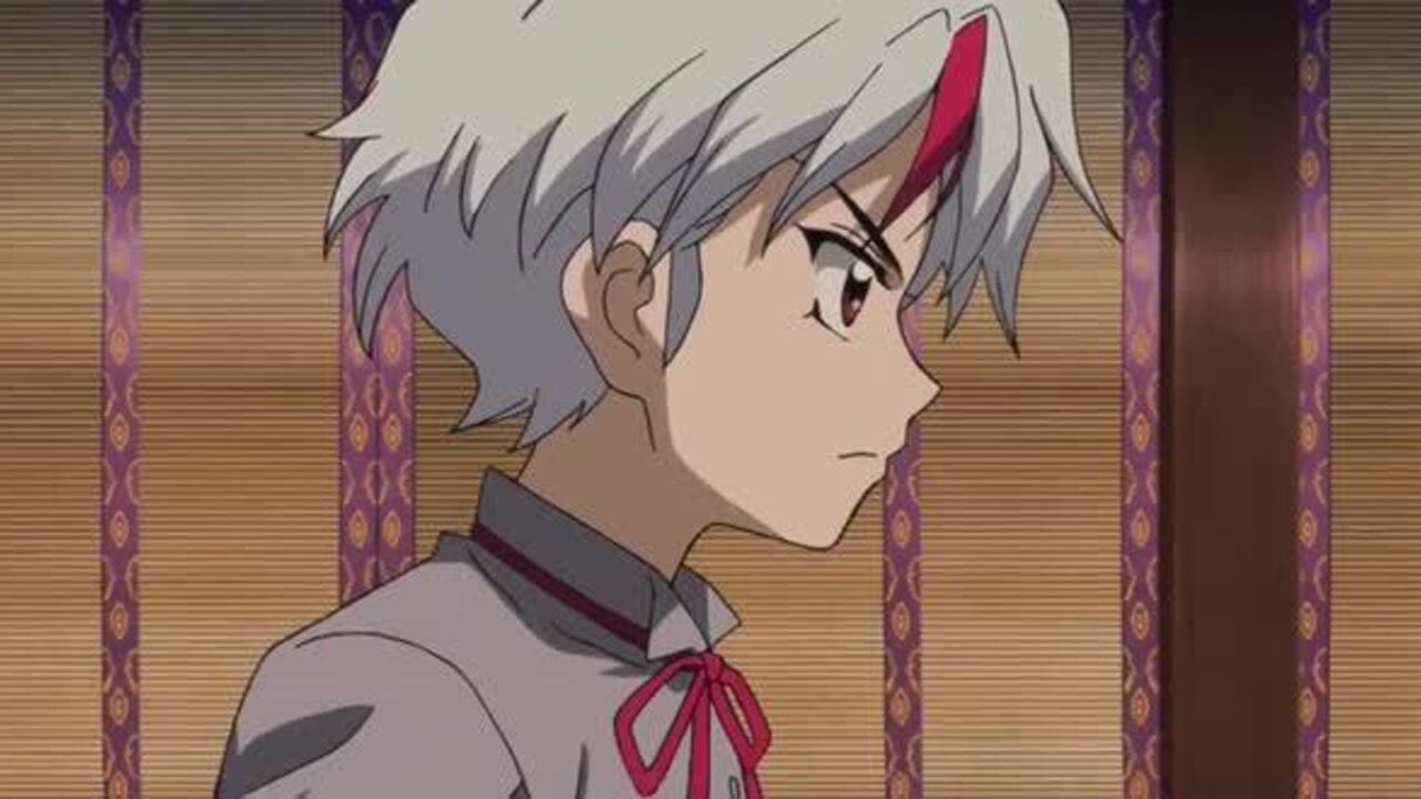 半妖的夜叉姬,白发美少女穿越到战国,我的名字叫日暮永远