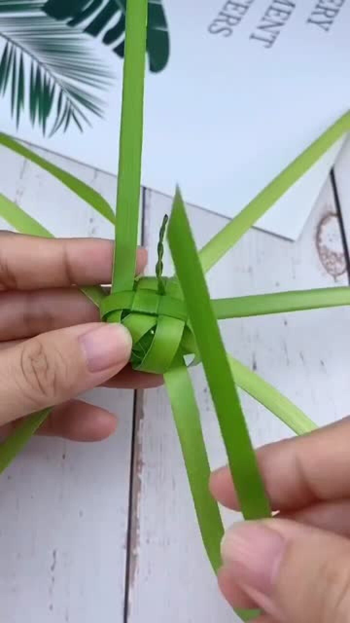 棕榈叶做迷你灯笼,一看就会,一做就废!_腾讯视频