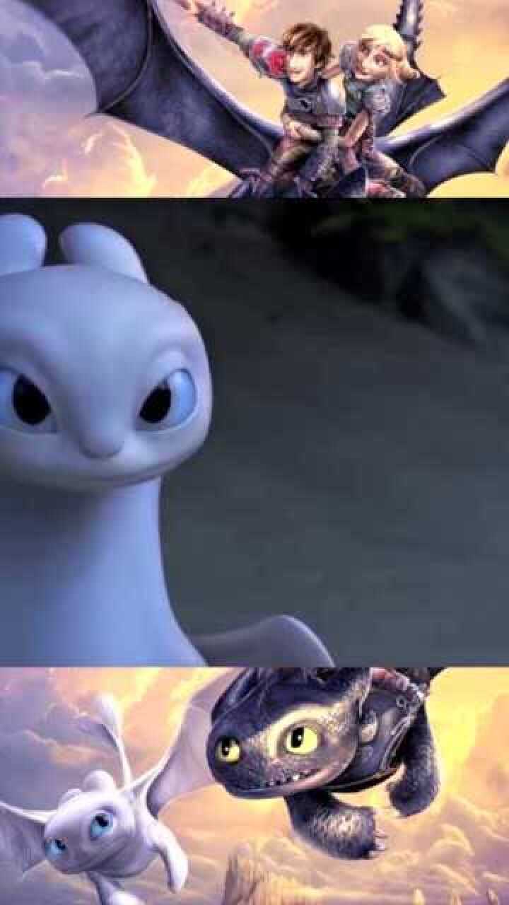 驯龙高手:无牙仔遇到真爱光煞,小嗝嗝教其"撩妹"_腾讯视频