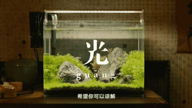 根据导演亲身经历改编 口碑佳作电影《光》定档11月6日