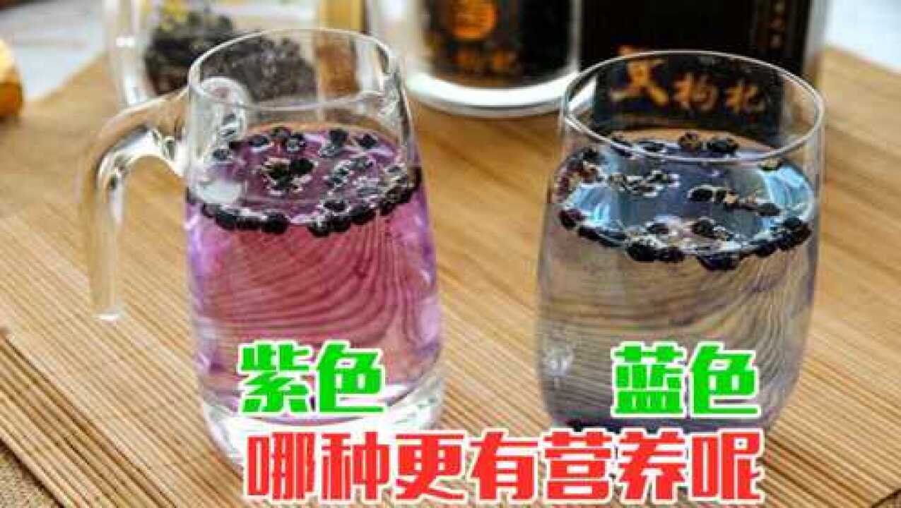 黑枸杞泡水为什么分蓝色和紫色哪种更有营养呢真相很简单