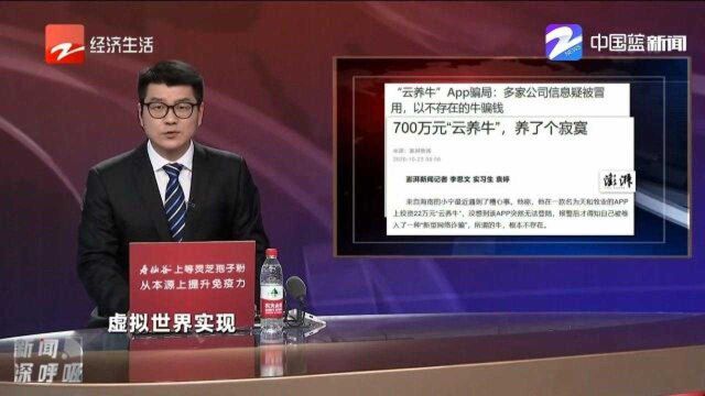 “云养牛”App骗局:多家公司信息疑被冒用,以不存在的牛骗钱