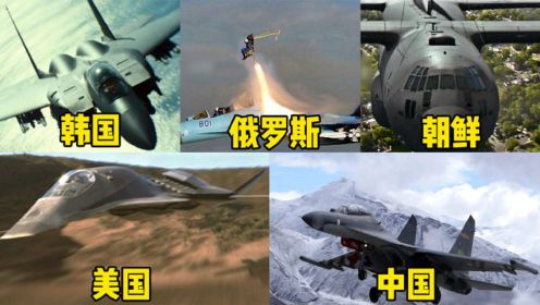 五部电影中的战斗机躲避导弹，你觉得哪国比较厉害，飞行员太秀了