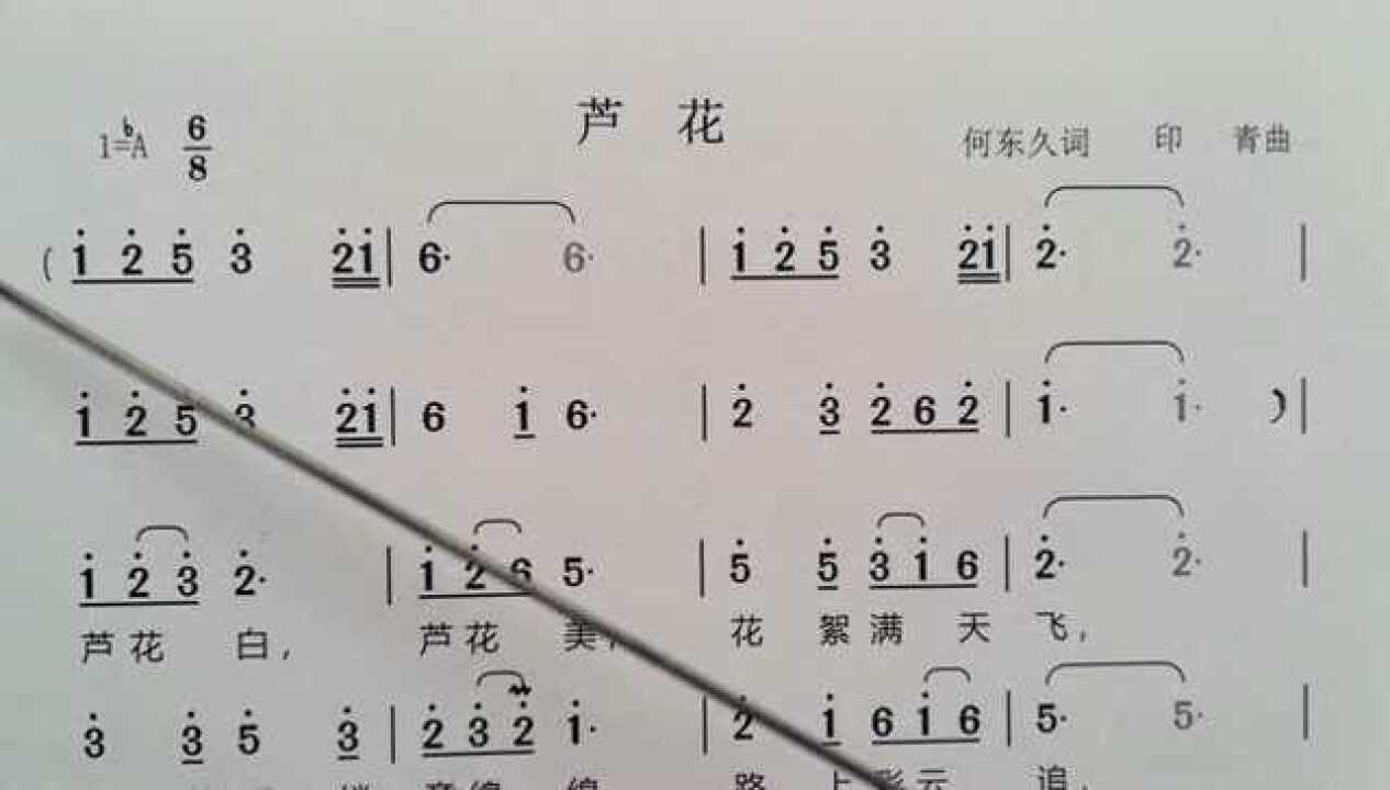 阎维文雷佳演唱的芦花简谱教学芦花白芦花美