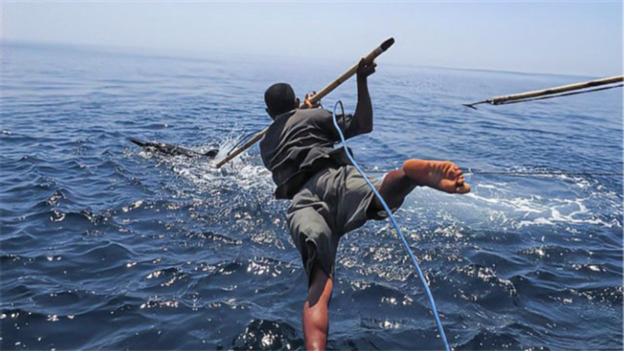 世界最传统的捕鲸者仅凭一把鱼叉捕抹香鲸过程真的太惊险