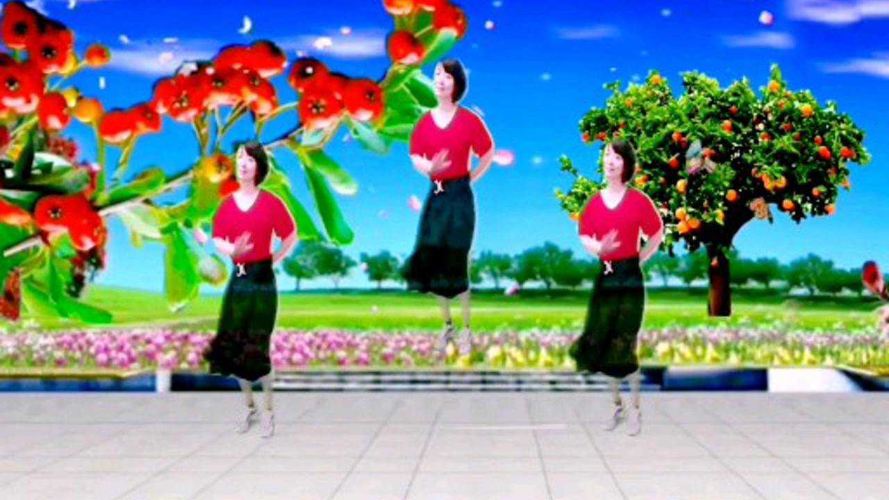 广场舞《红枣树》