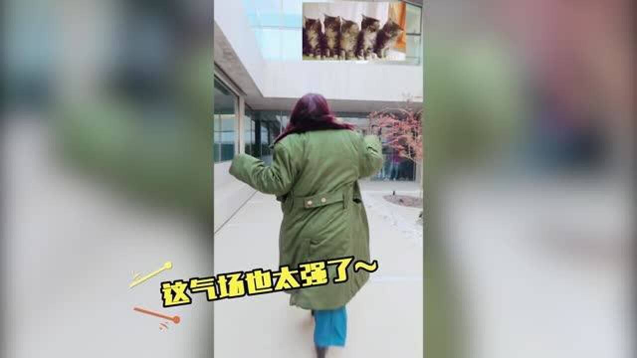 杨天真穿军大衣走秀,自信的眼神仿佛自己身上是貂皮大衣,气场八米_高清1080P在线观看平台_腾讯视频