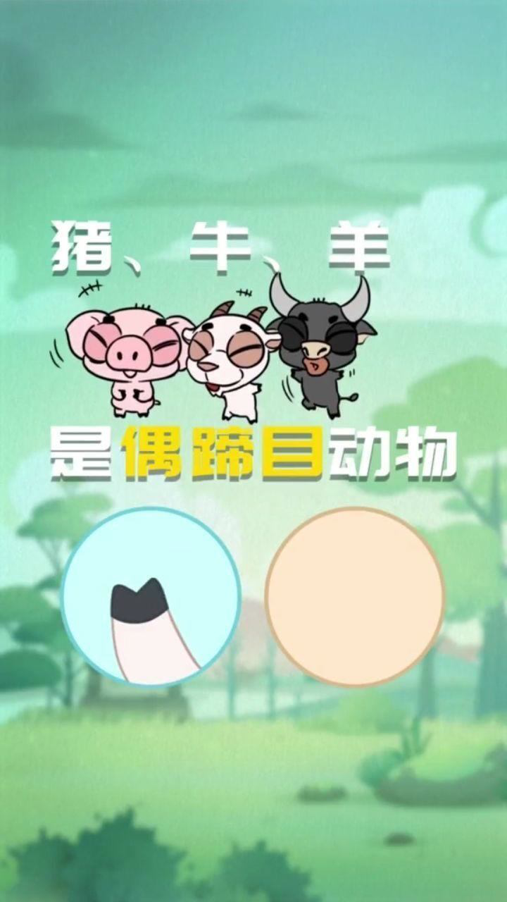 什么是偶蹄目和奇蹄目呢?