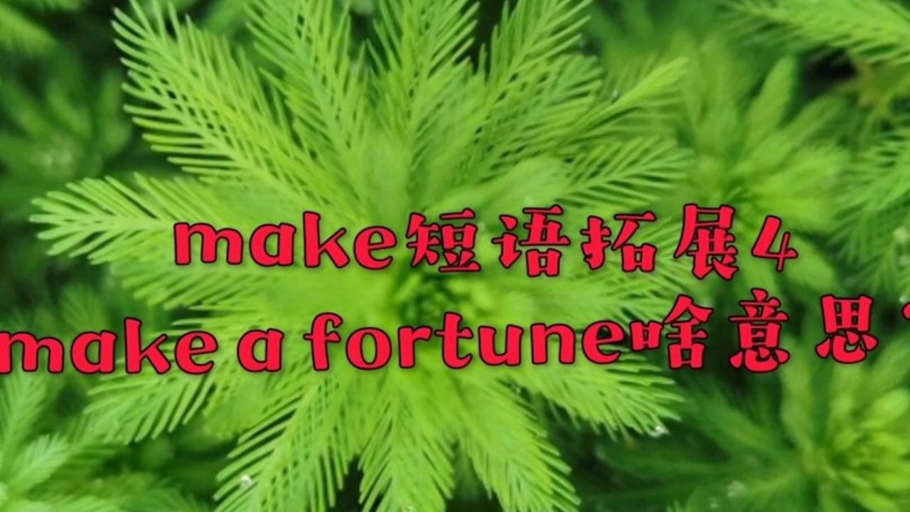 make短语拓展4makeafortune啥意思