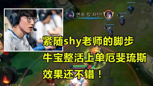 紧随shy老师的脚步 牛宝整活上单厄斐琉斯 效果还不错!