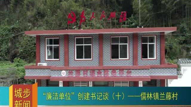 “廉洁单位”创建书记谈(十)——儒林镇兰藤村