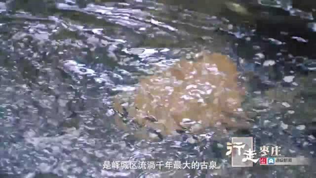 行走枣庄②丨一眼千年,寻访岁月深处的峄城区阴平古镇