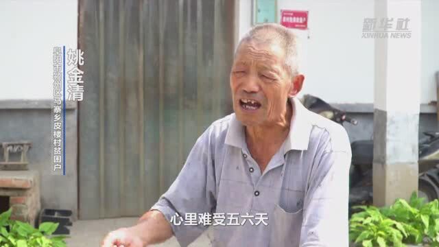 刘长城和皮楼村的脱贫故事