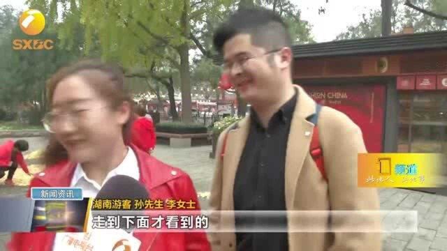 西安城墙下出现银杏叶造型图 成网红地吸引众多市民游客“打卡”!