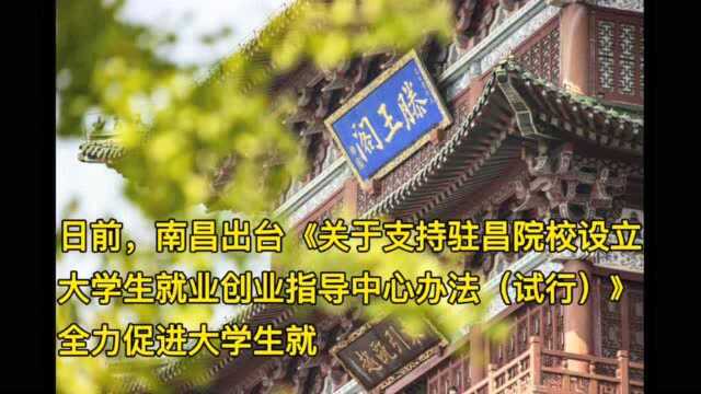 一次性建设补贴10万元 工作经费补贴每年最高50万元 南昌:“真金白银”促进大学生就业创业