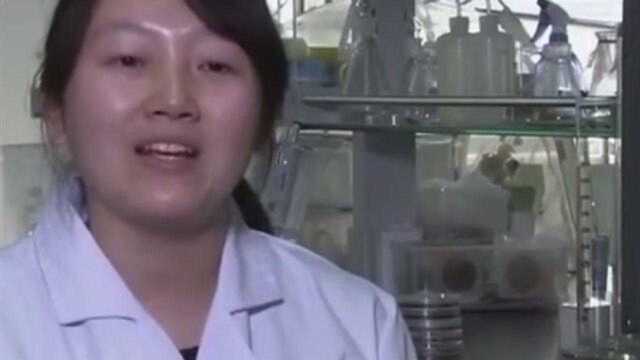 从普通微生物到生防菌剂,生物农药木霉菌,是如何完成转变的?