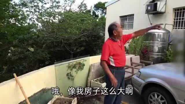 台湾工厂真的没有大陆订单吗,真的裁员了吗?台湾大伯咋评价大陆市场的