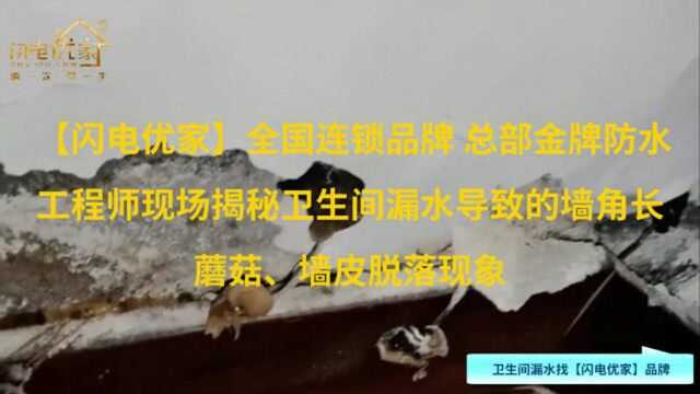 上海卫生间漏水检测维修哪家口碑好? 漏水检测维修就选【闪电优家】品牌!