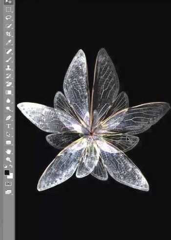 ps抠透明蝴蝶偷偷的换个背景惊艳所有人