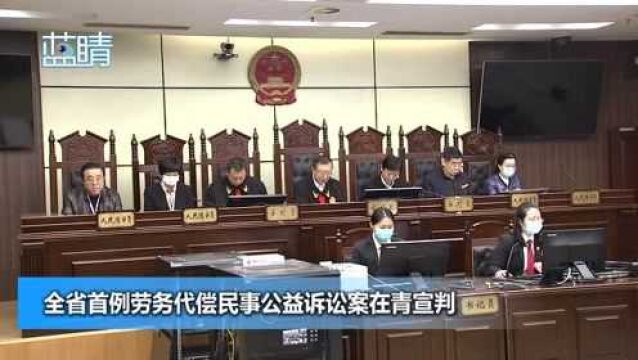 全省首例劳务代偿民事公益诉讼案在青宣判