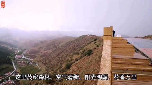 甘肃武威天祝藏族自治县避暑胜地大红沟初夏风景