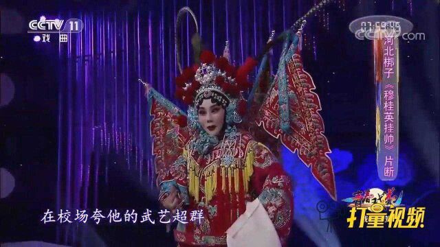 赵璇演绎河北梆子《穆桂英挂帅》,韵味纯正,精彩好听