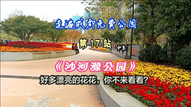 走遍成都免费公园第17站:《沙河源公园》中,小鲜花围绕湖心转