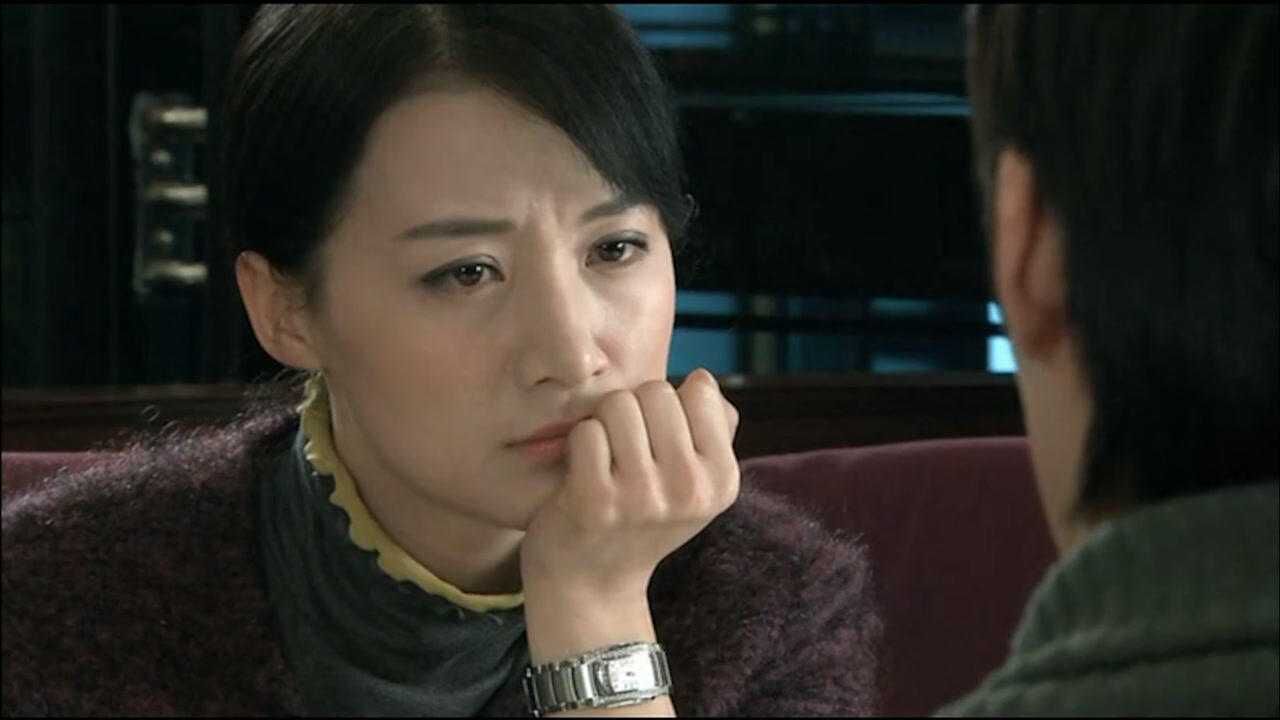 再婚进行时高飞和丈夫离婚两人在一起吃饭第一次得知丈夫悲惨身世