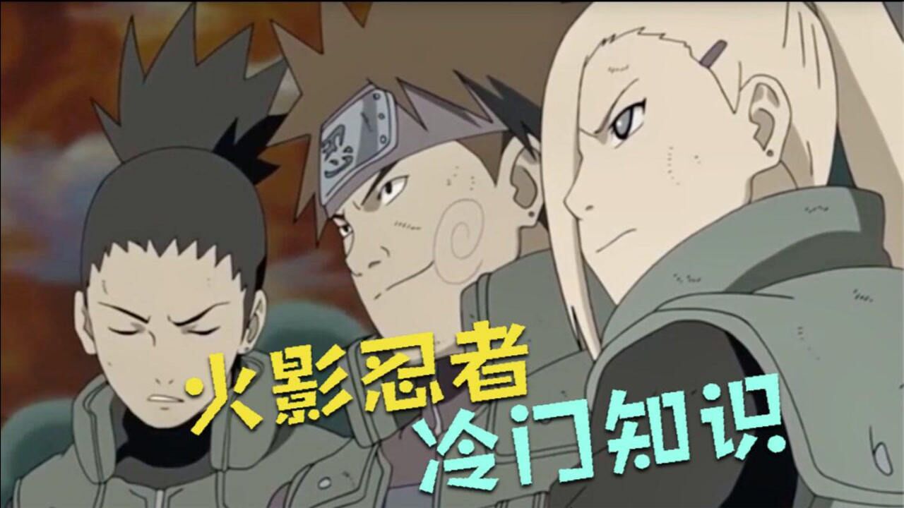 火影忍者冷门知识,主角为何身边总有猪鹿蝶组合?原来有特殊含义