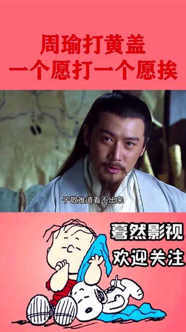 周瑜打黄盖一个愿打一个愿挨诸葛亮轻松识破苦肉计