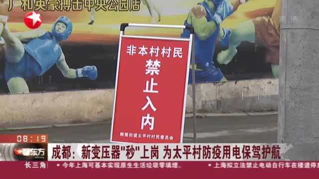 成都:新变压器“秒”上岗 为太平村防疫用电保驾护航