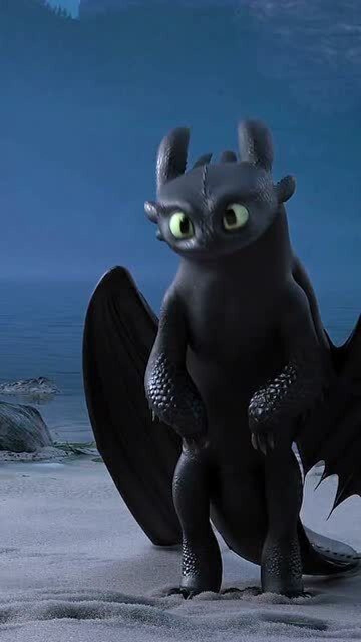 驯龙高手,无牙仔撩妹现场,场面十分温馨