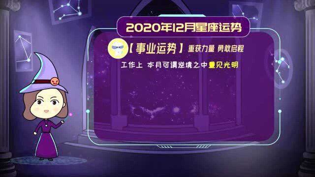 12月星座运势:天蝎座