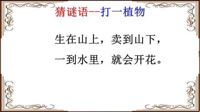 生在山上,卖到山下,一到水里,就会开花,打一植物