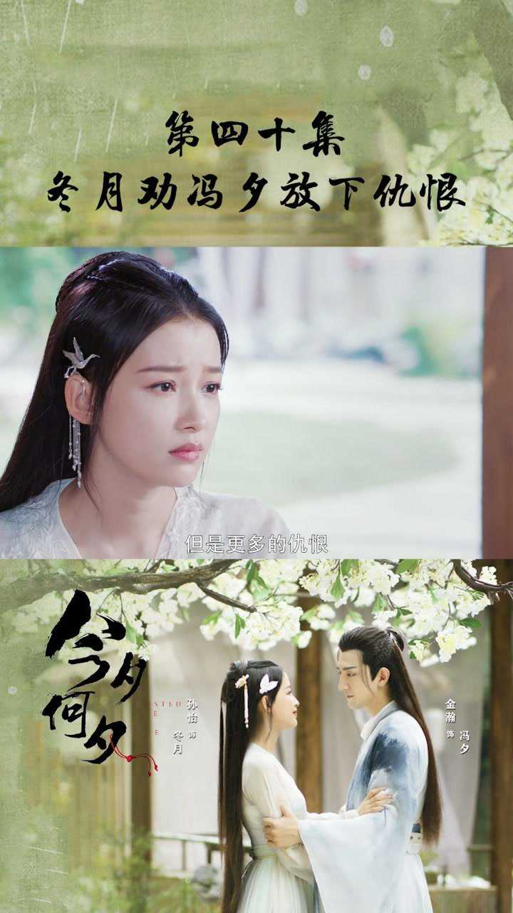 今夕何夕第四十集冯夕见到前尘的尔玉得知上一世是自己找到了冬月电视