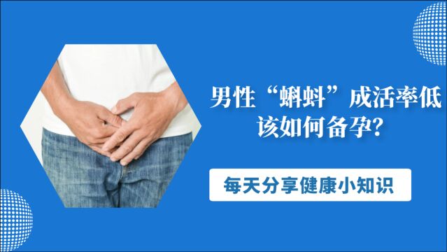 男性“蝌蚪”成活率低,该如何备孕?教你3招,帮你“激活”活力