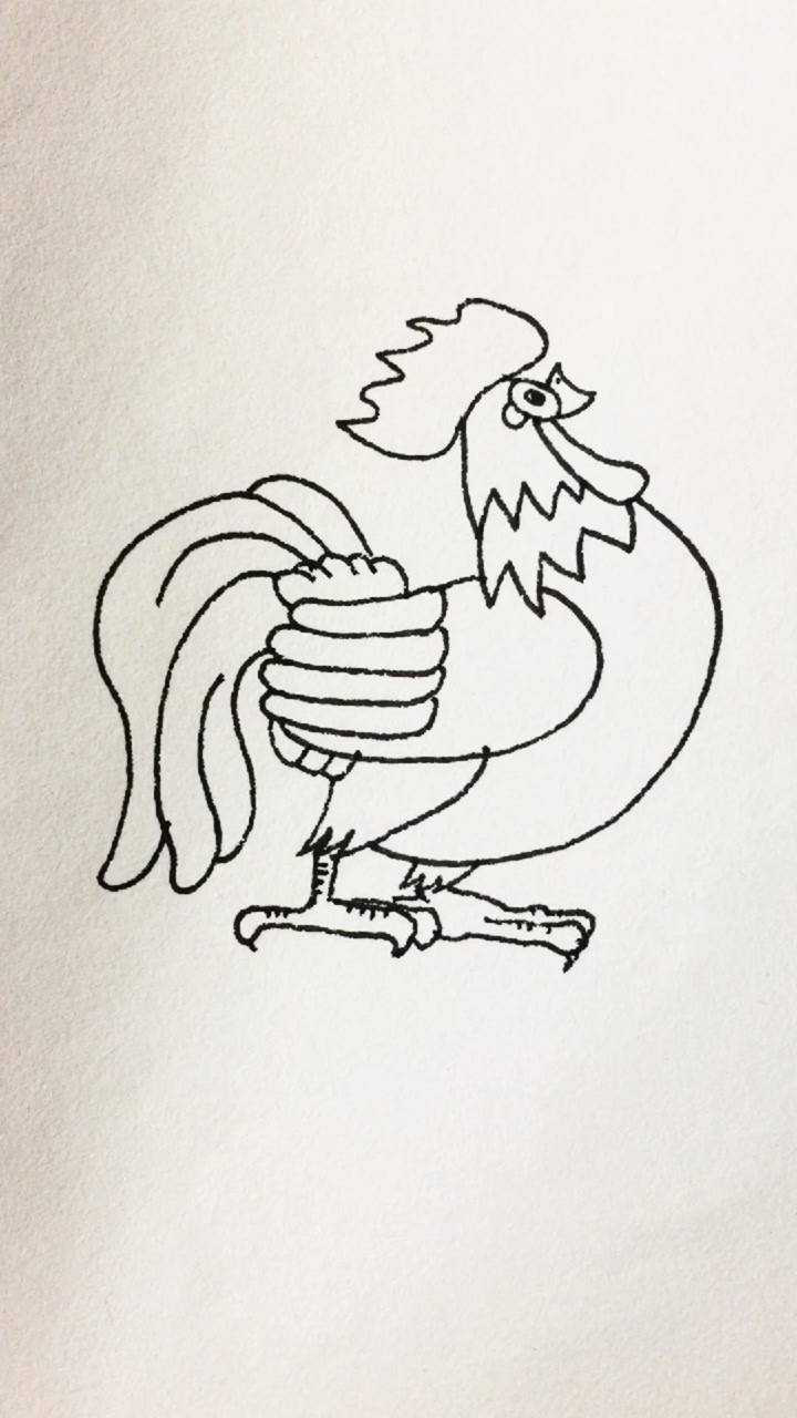 学画大公鸡简笔画